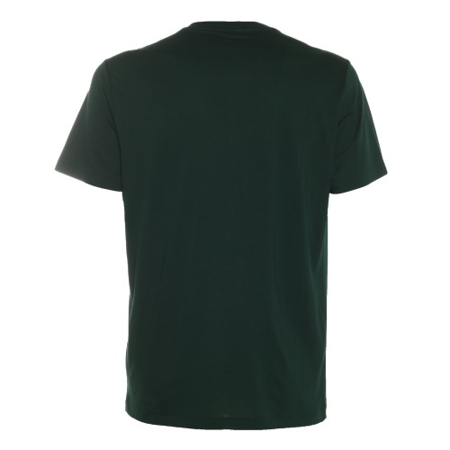 Polo Ralph Lauren: T-shirt verde maniche corte